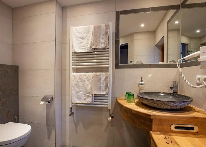 萨斯基亚旅馆 4* 索尔登