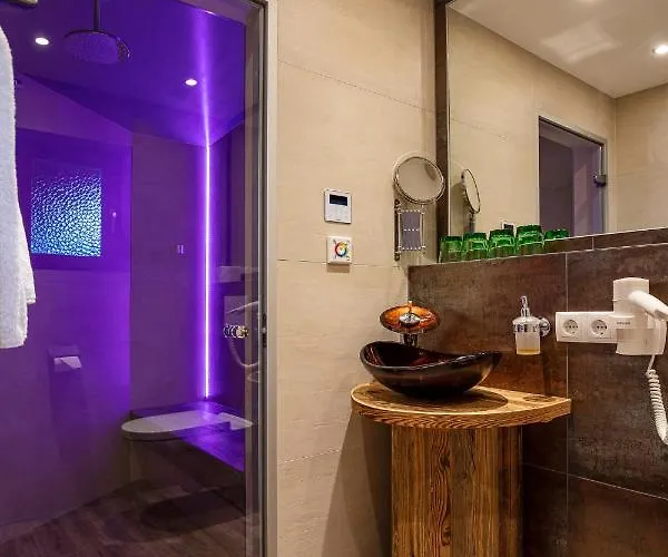 萨斯基亚旅馆 4*