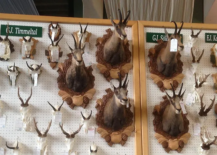 招待所 萨斯基亚旅馆