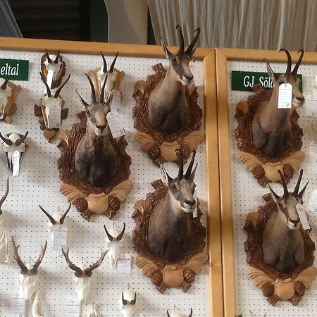 ゲストハウス Haus Saskia